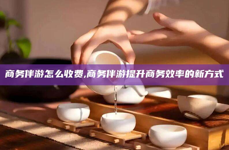 禹城商务伴游怎么收费,商务伴游提升商务效率的新方式